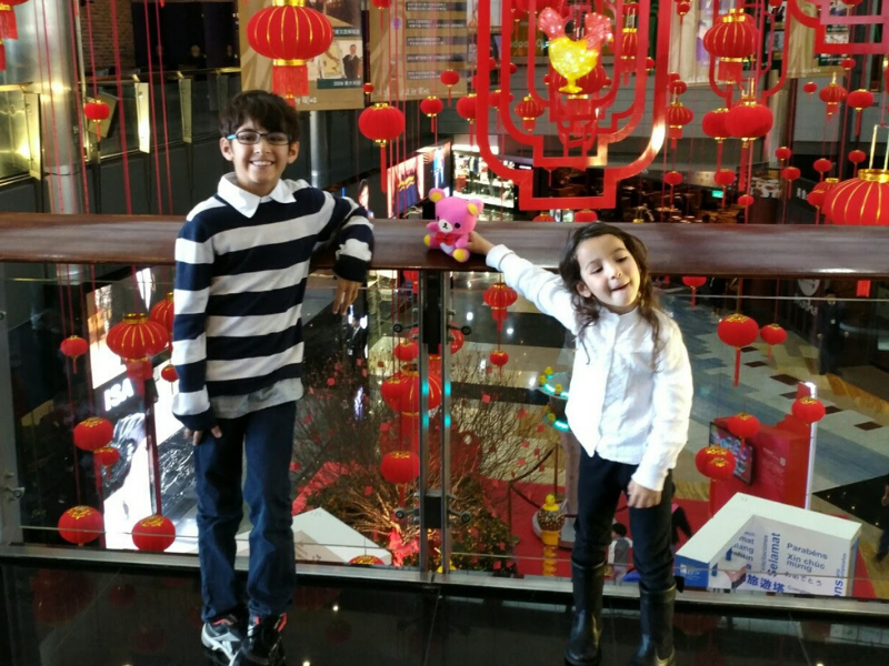 Ano Novo Chinês: a festa mais importante e celebrada pelos asiáticos
